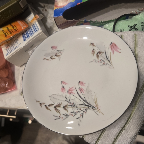 Vintage Royal Dutchess Mountain Bell Bavarian China footed cup & 6" B&B plates - Picture 6 of 8